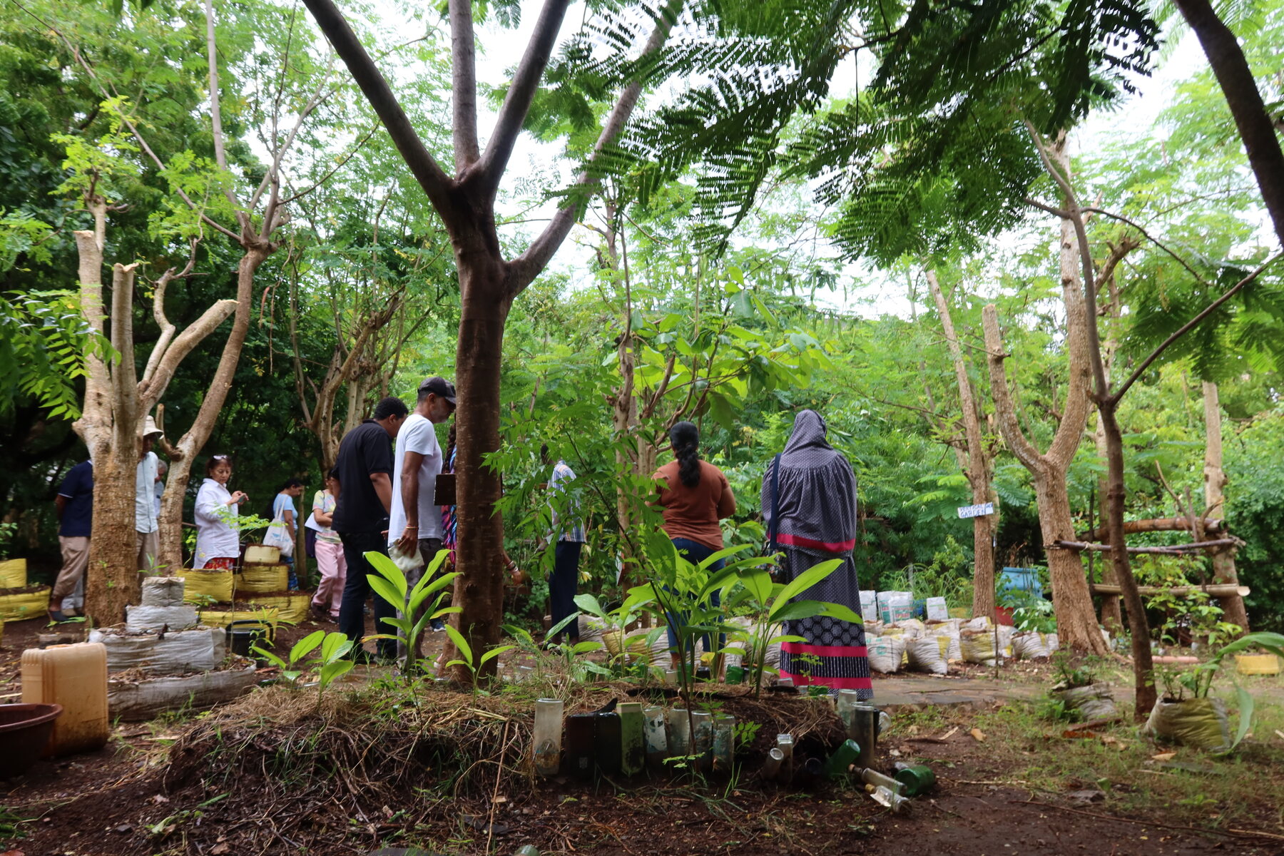 People walking through a dense community garden with recycled planters.